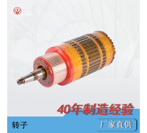 ZQ-1.9輔助直流牽引電機(jī)電樞（250V，550V）